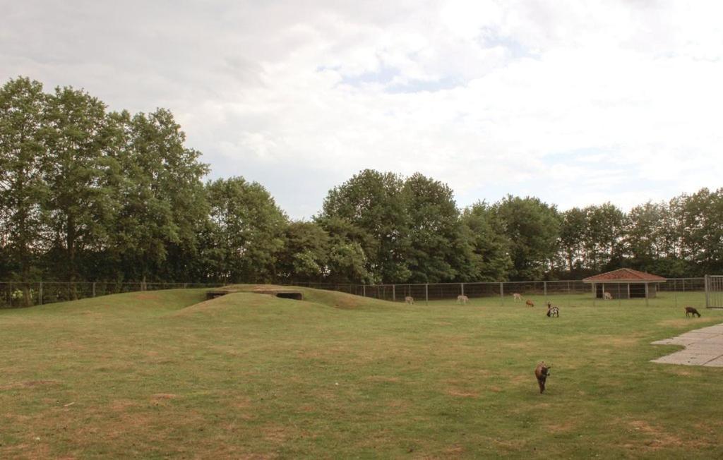Gramsbergen Het Familie Boshuisje - Vakantiewoning Op Prachtig Park Met Veel Faciliteiten Inc Ligbad מראה חיצוני תמונה